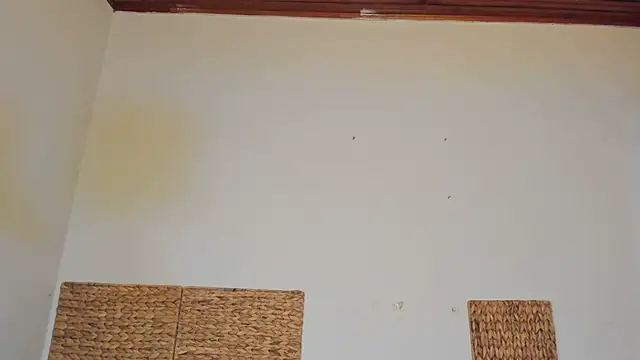 Jackiehmilf52 live