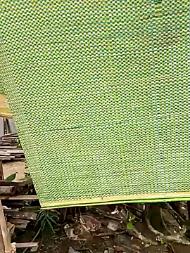 tuyet-nhi profile