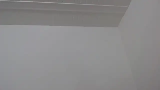 ElizabethMiler live