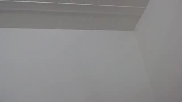 ElizabethMiler live