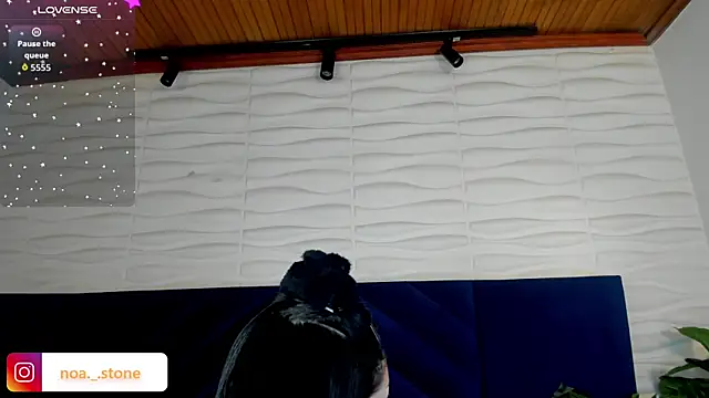 NoaStone_ live