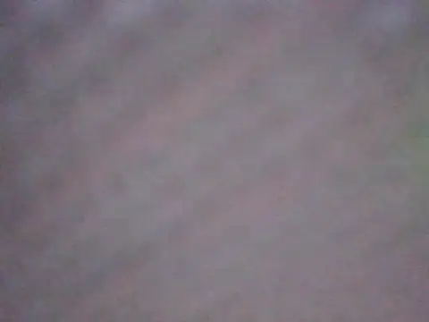 Stich_Linda live