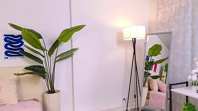 SoftyFlow live