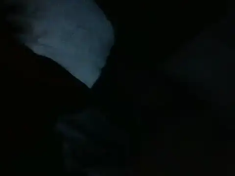 Shyafricaa live