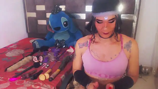 michaeldissts live