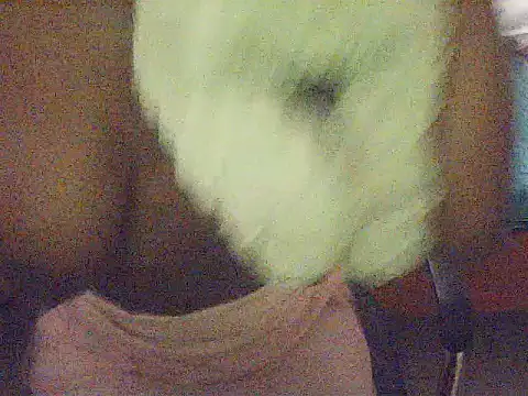 Milkydaisy live