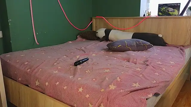 lottieloon live