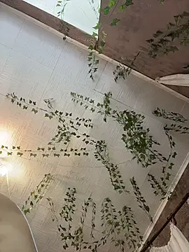 AmmyHot live