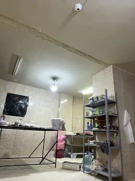 cut7in live