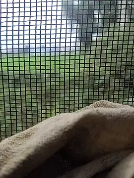 Desi_girl002 live