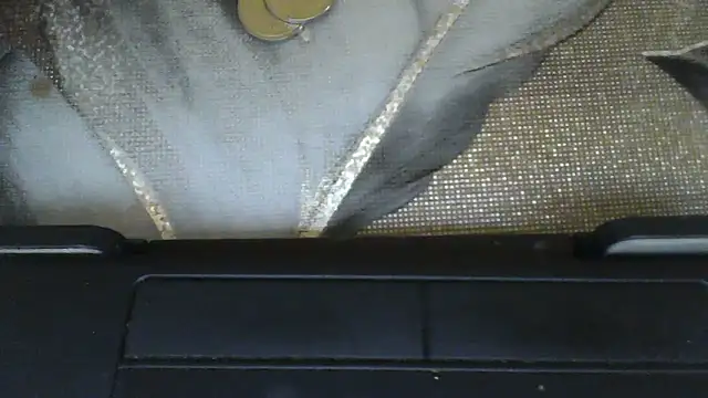 MarinaFarina53 live