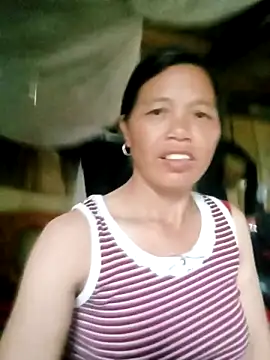 Elfledaa live