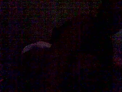 horny_drip live