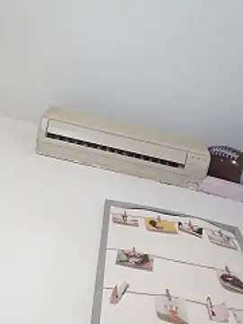 Molly_newman6 live