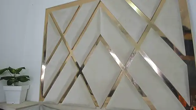 mitch_asm live