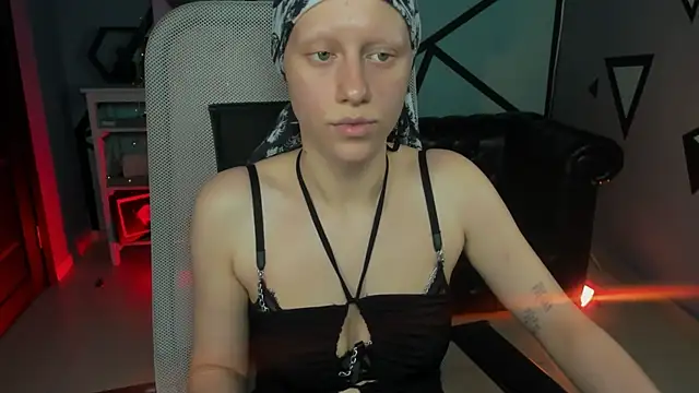 LidaDarknet live
