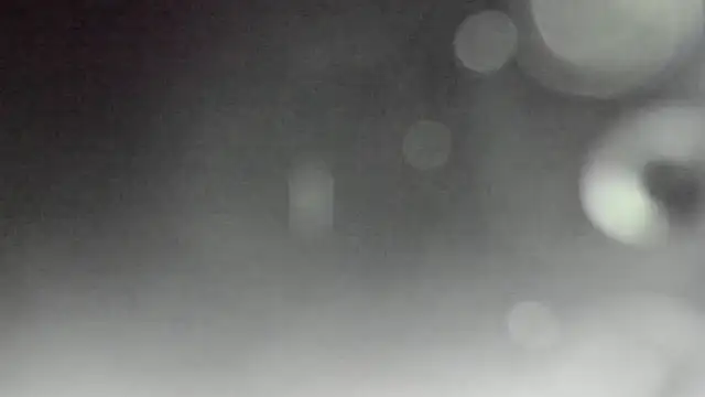 Regina_cute_ live