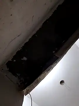 sexy_3202 live