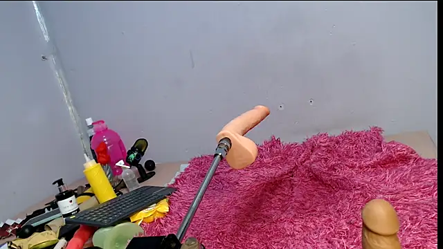 codorniz2025 live