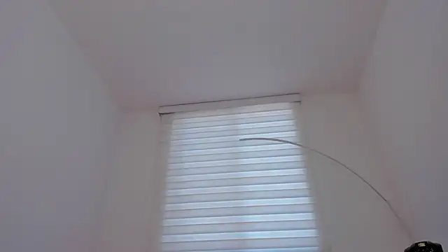 SavannahWildee live
