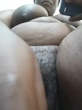 mem254 live