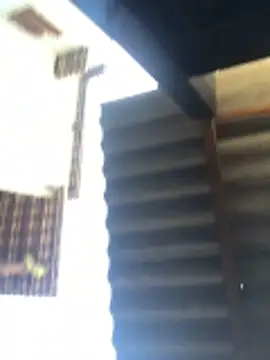 Cliaclara live