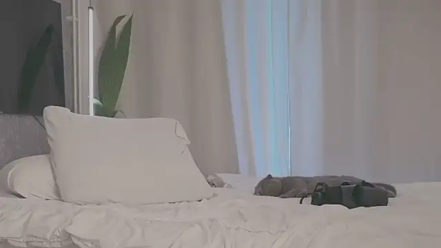 TianaCharm live