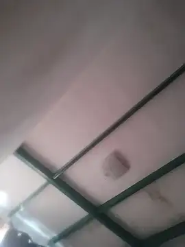 gretasexcy live