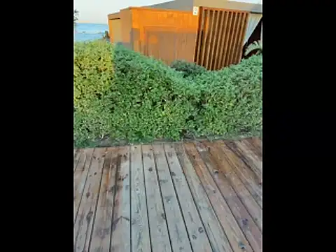 Arina_Bloom live