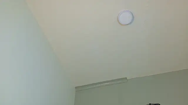 LexaDominant__ live