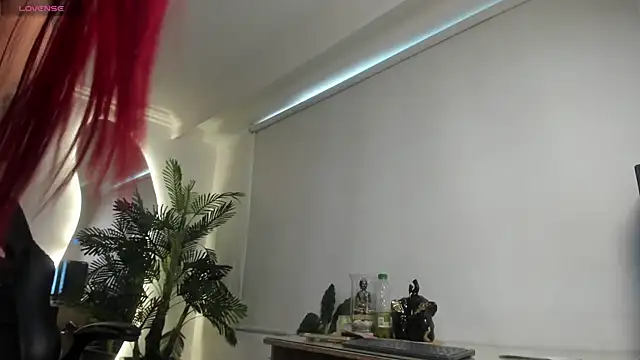 lexietaylor live