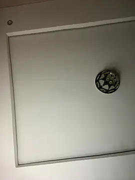 CuteLinae03 live