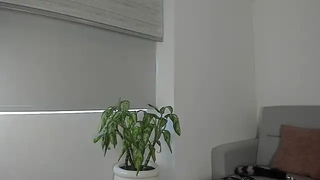 MindyDollSquirt live