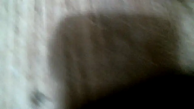 SexyB214 live