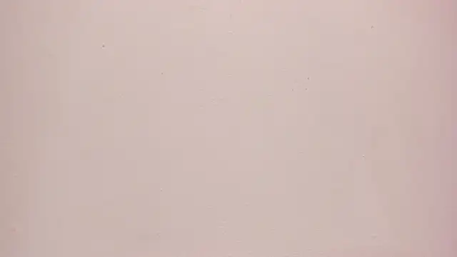 Sara_connor01 live