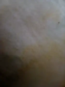 ruiviinhaah live
