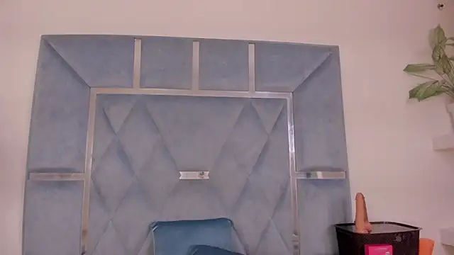 Lucy_asm live