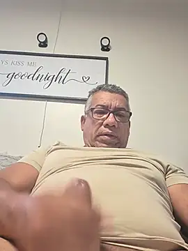 tigre6911 live