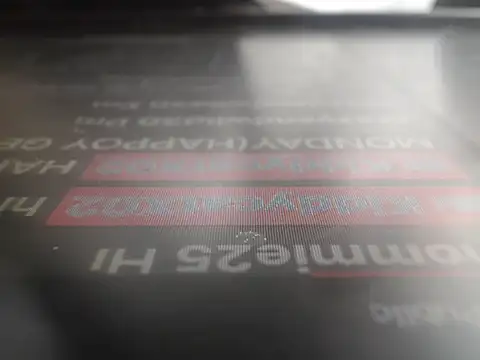 KiddycatX02 live