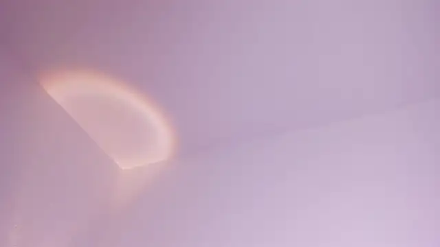antonella_lee_x live