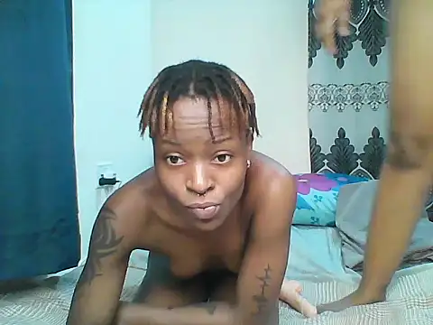 African_boobies live