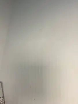 Honeybeespecial live