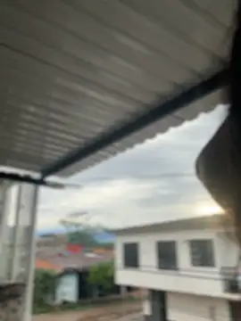 Pretty_Isadora live