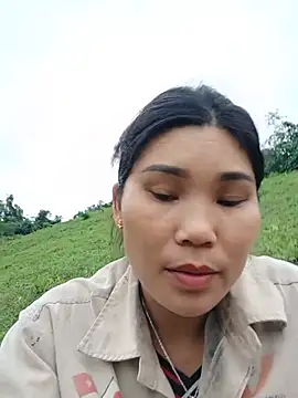 Bear-bear0 live