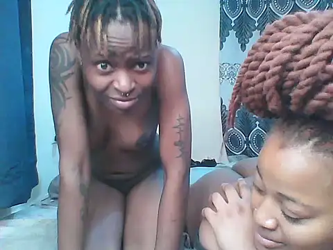 African_boobies live
