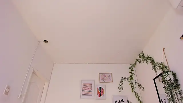 Muffin_Puffin live