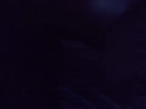 sexymaryi live