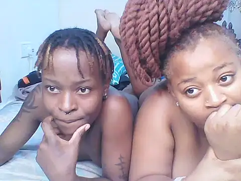 African_boobies live