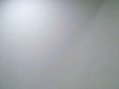 VittoriaTaylor live