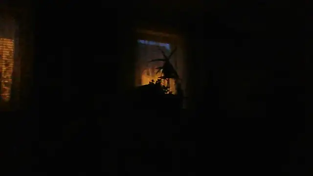 Geiler668 live